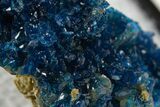 Vibrant Blue Veszelyite Crystal Cluster - China #337103-2